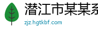 潜江市某某系统技术维修站