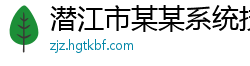 潜江市某某系统技术维修站